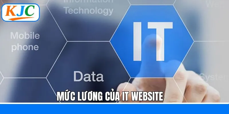 Nhân viên IT Web KJC với mức đãi ngộ cao