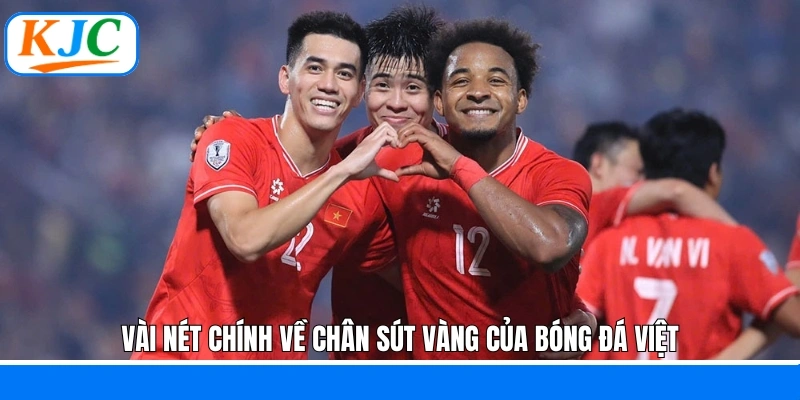 Vài nét chính về chân sút vàng của bóng đá Việt